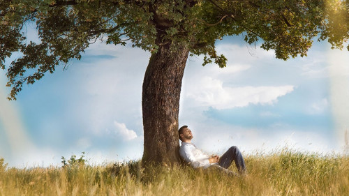 Mann-unter-Baum-84715962-AS-Alen-D