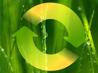 Gruen-Kreislauf-495832202-AS-BillionPhotos-com