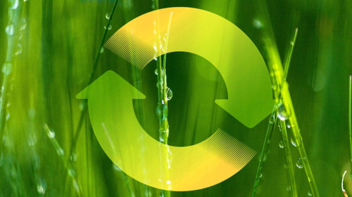 Gruen-Kreislauf-495832202-AS-BillionPhotos-com