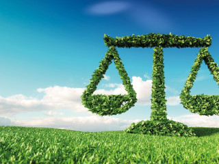 Waage-gruen-206053841-AS-malp