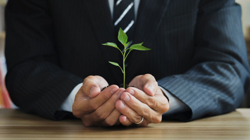 Collaboration between the government, the private sector and the