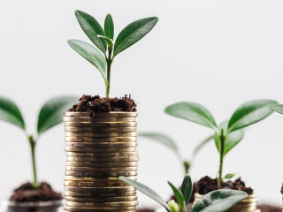 selective focus of coins with green leaves and soil Isolated On White, financial growth concept