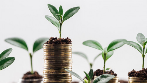 selective focus of coins with green leaves and soil Isolated On White, financial growth concept