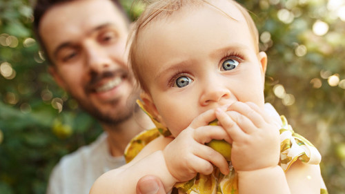 The happy young family during picking apples in a garden outdoors