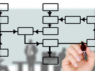 Organigramm-516278-PB-geralt