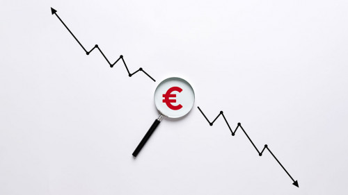 Analyzing the dynamics of the growth and fall of the Euro curren