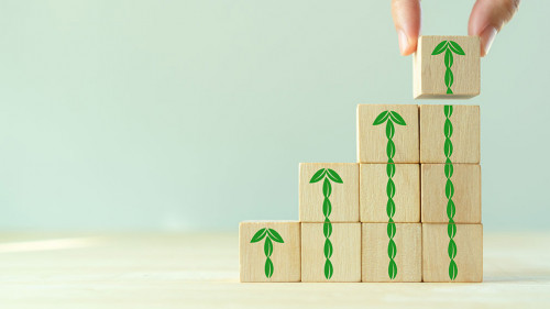 Growth of ESG and sustainable investment concept. Investment for