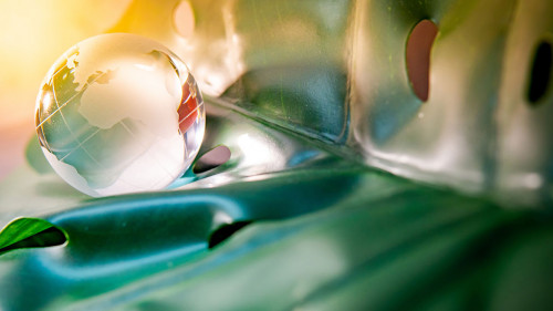 World globe crystal glass on green leaf