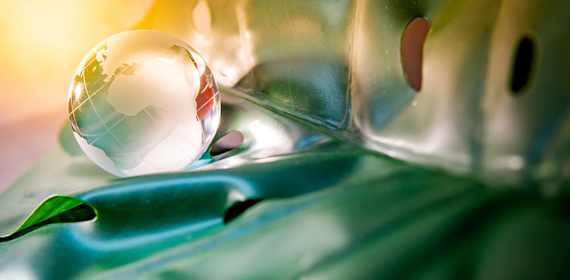 World globe crystal glass on green leaf