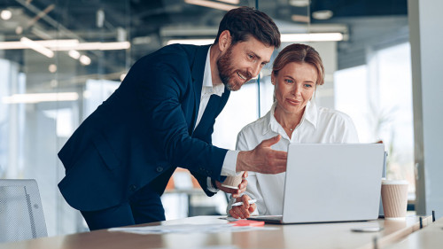 Mature female boss discussing online project with employee