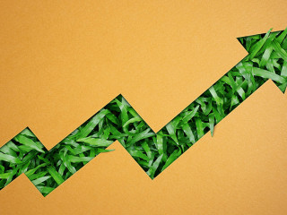 ESG, Environmental Care Concept. Craft Paper Cut as Upward Arrow