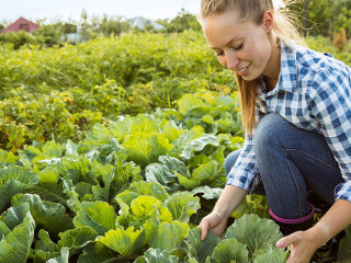 Young farmer working at his garden in sunny day