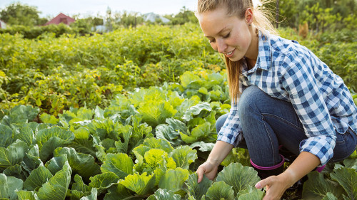 Young farmer working at his garden in sunny day
