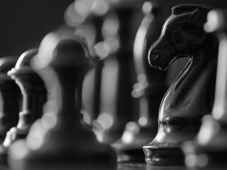 black chess pieces on the board, chess horse