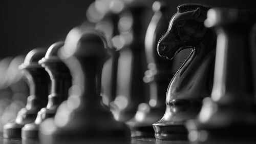 black chess pieces on the board, chess horse