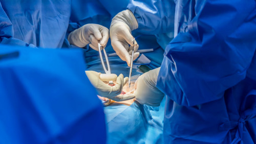 Doctor or surgeon did surgery of hernia mesh repair operation in