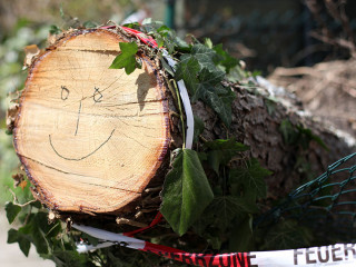 Sturmschäden umgefallener Baum