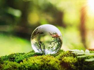 globe glass on grass with sunshine. environment concept