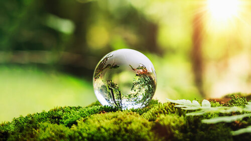 globe glass on grass with sunshine. environment concept