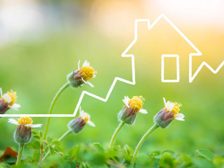 Real estate growth chart pattern drawn with white chalk and bloo