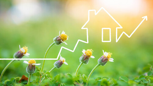 Real estate growth chart pattern drawn with white chalk and bloo