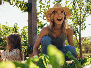 Family working on allotment together