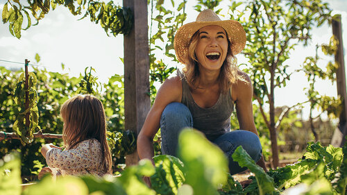 Family working on allotment together