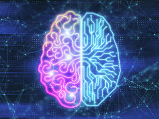 Creative digital brain