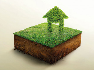 Green bush symbol in the shape of a house on cubicle soil and ge