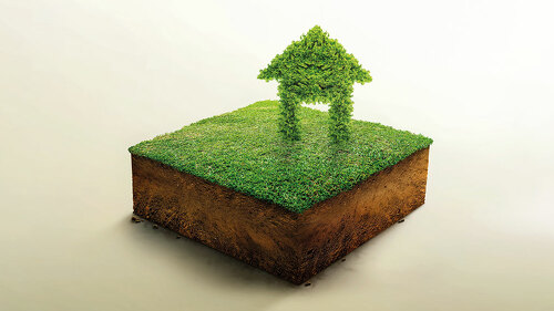 Green bush symbol in the shape of a house on cubicle soil and ge
