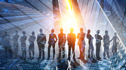 Our successful business team