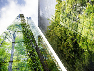 green city - double exposure of lush green forest and modern sky