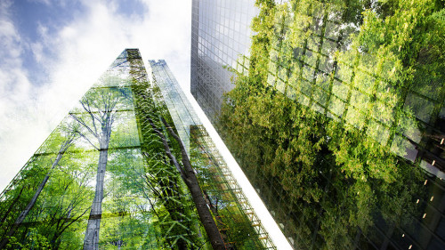 green city - double exposure of lush green forest and modern sky