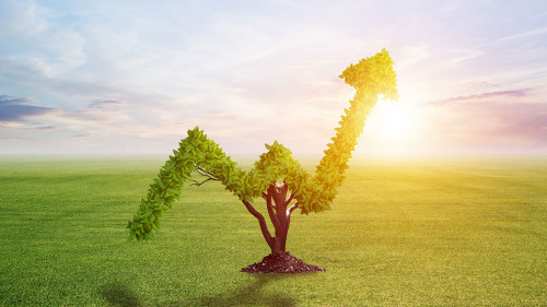 Green plant in shape of of grow up trend at field