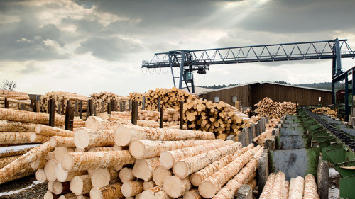 Sawmill (lumber mill)