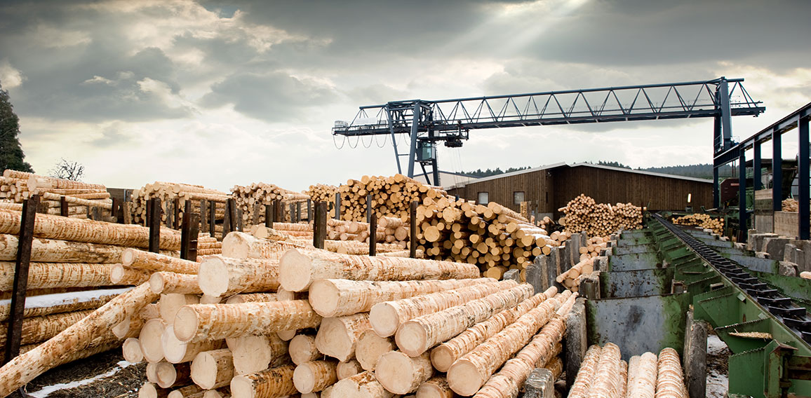 Sawmill (lumber mill)