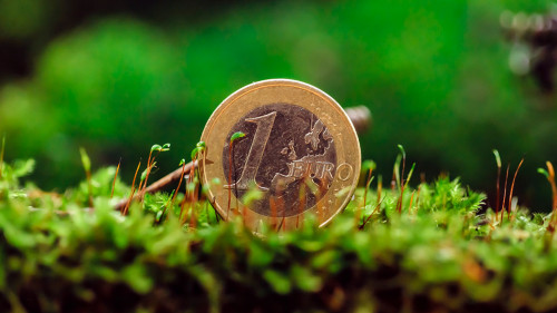 Euro cent money on green moss