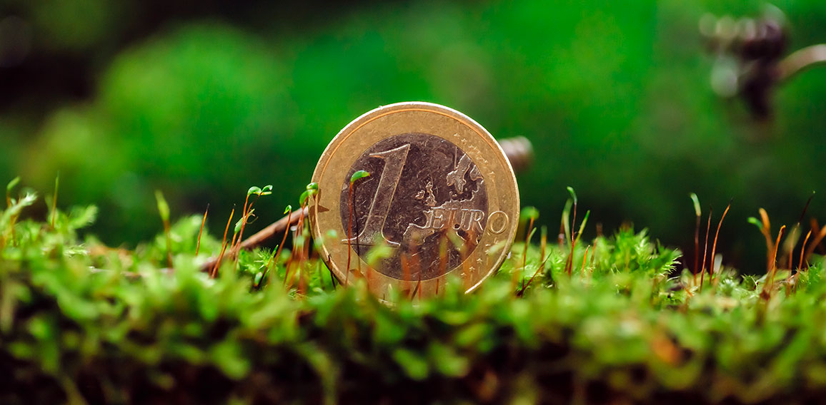 Euro cent money on green moss