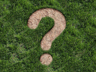 Landscaping Questions