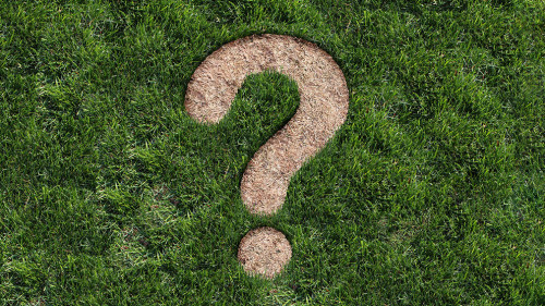 Landscaping Questions