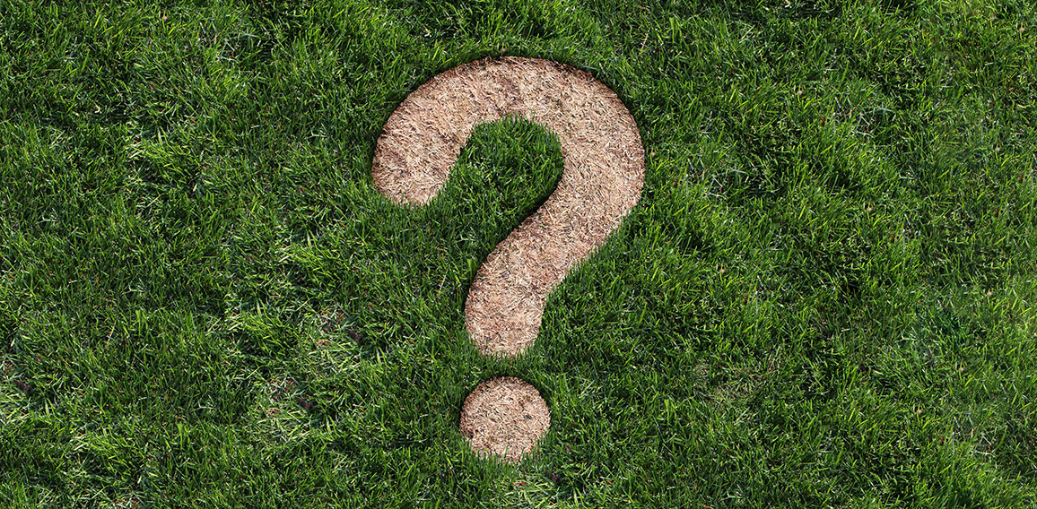 Landscaping Questions