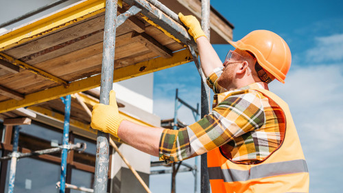 Geruestbauer-204509018-DP-AllaSerebrina