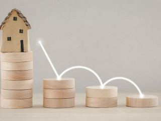 wood coin stack growth with home model