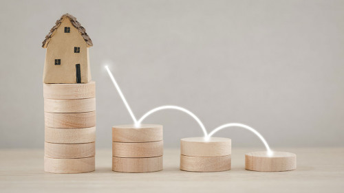 wood coin stack growth with home model