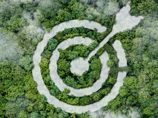 environment target of Green business, Business Development Strat