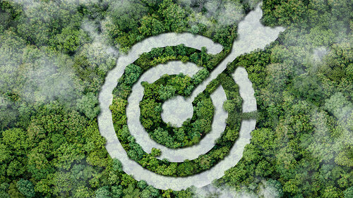 environment target of Green business, Business Development Strat