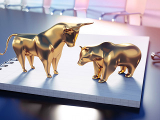 Bulle und Bär - Meeting Room - Konzept