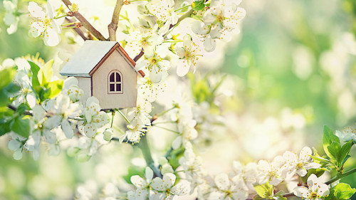 mini toy house and cherry flowers. house on spring nature backgr