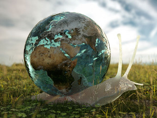 Snail with earth on back