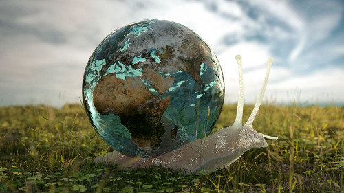 Snail with earth on back